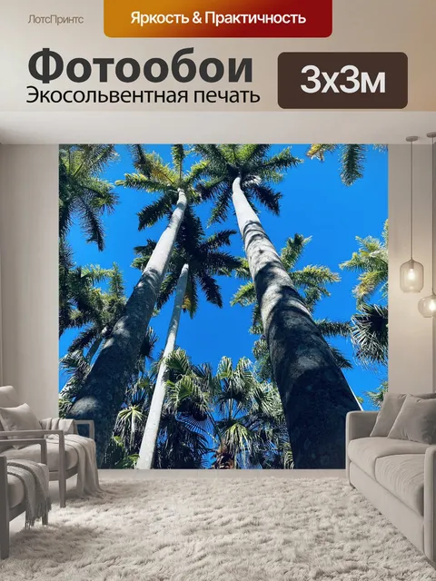 Фотообои Пальмы