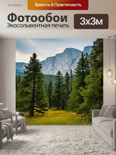 Фотообои россия леса — величественные горные леса с высокими вершинами
