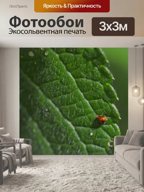 Фотообои Коста-рика