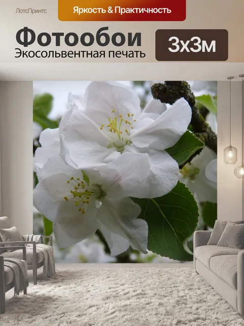 Фотообои Яблоневый цвет