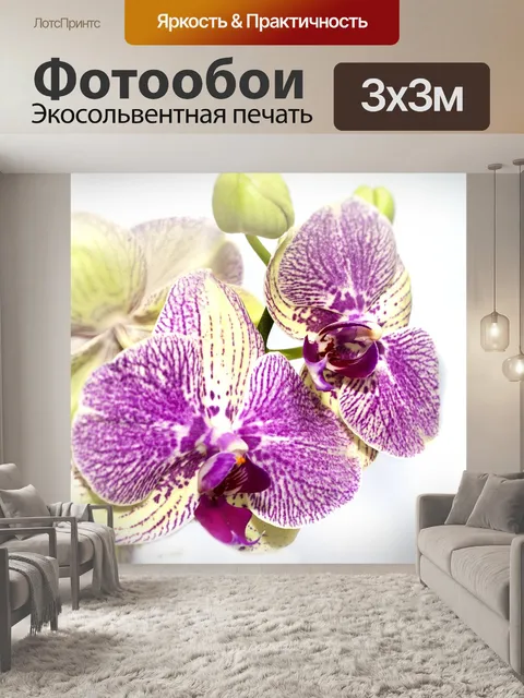 Фотообои Орхидея