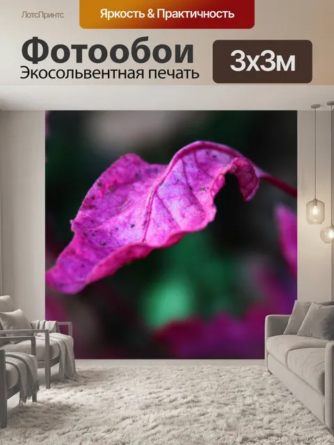 Фотообои Лист
