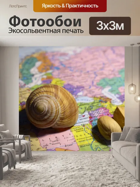 Фотообои Карта