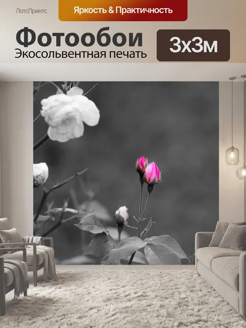 Фотообои Розовый бутон розы
