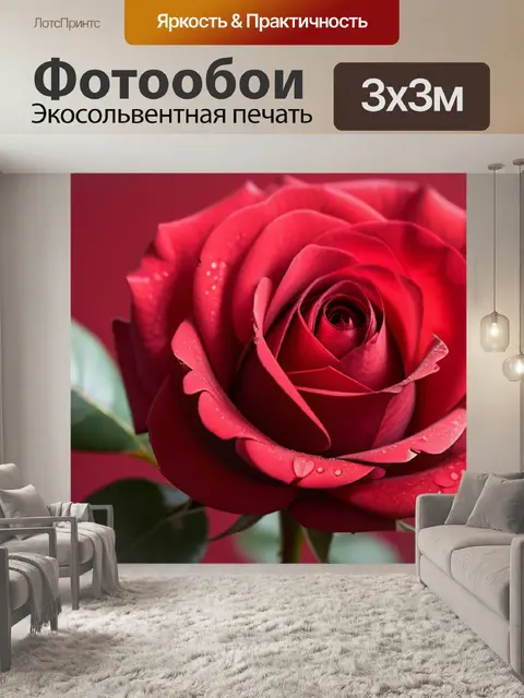 Фотообои с розой красной