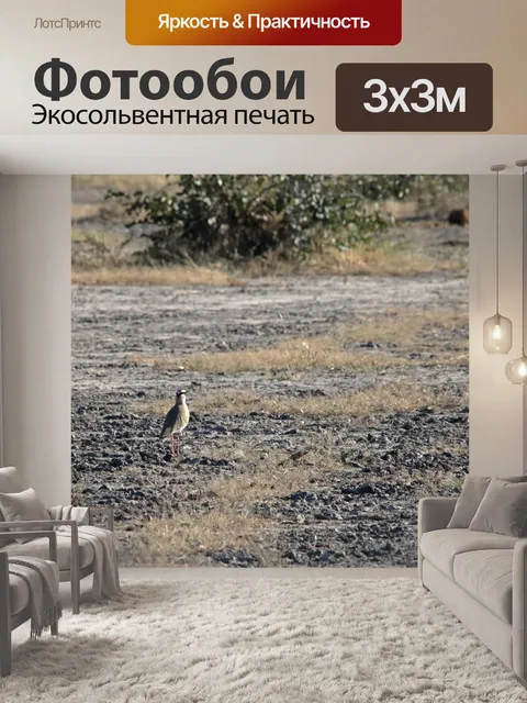 Фотообои увенчанный плуг на земле