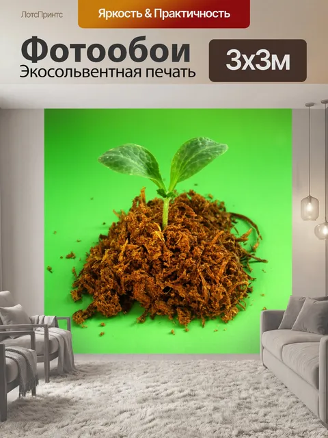 Фотообои Молодое дерево