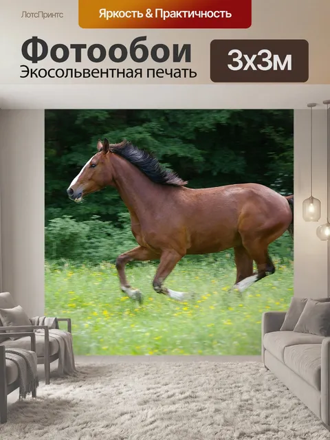 Фотообои Лошадь