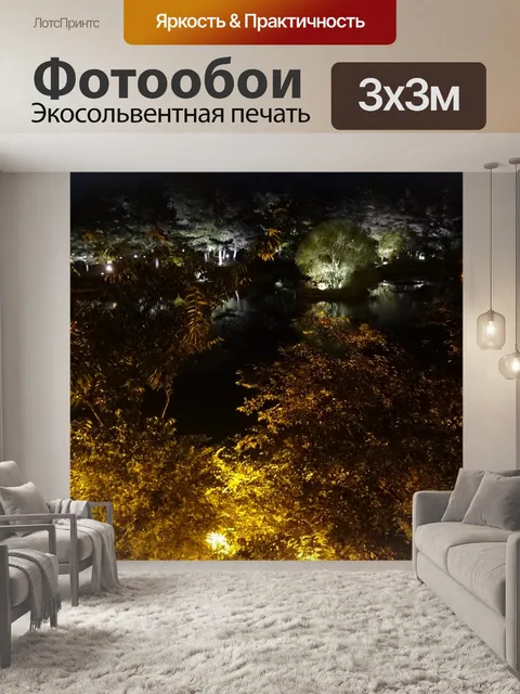 Фотообои Ночная точка зрения