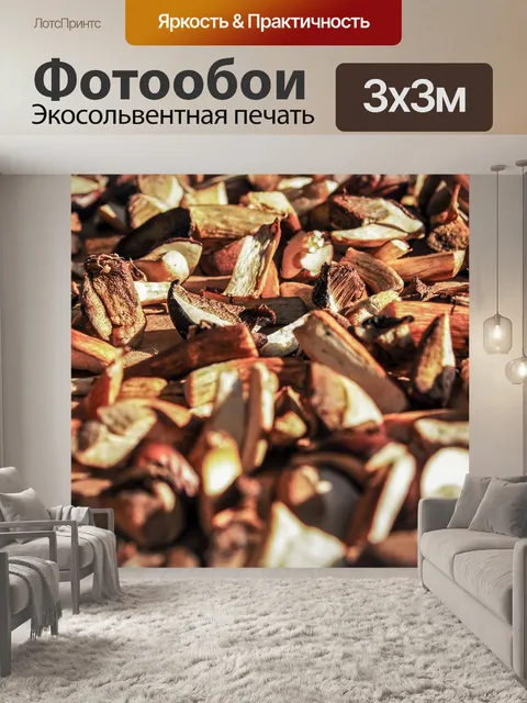 Фотообои Гриб