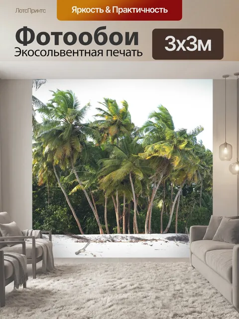 Фотообои Пальмы