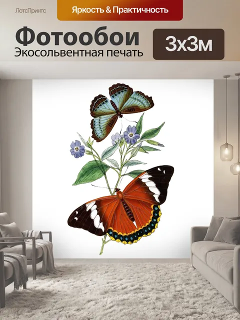 Фотообои Винтаж Клипарт Бабочка Цветок
