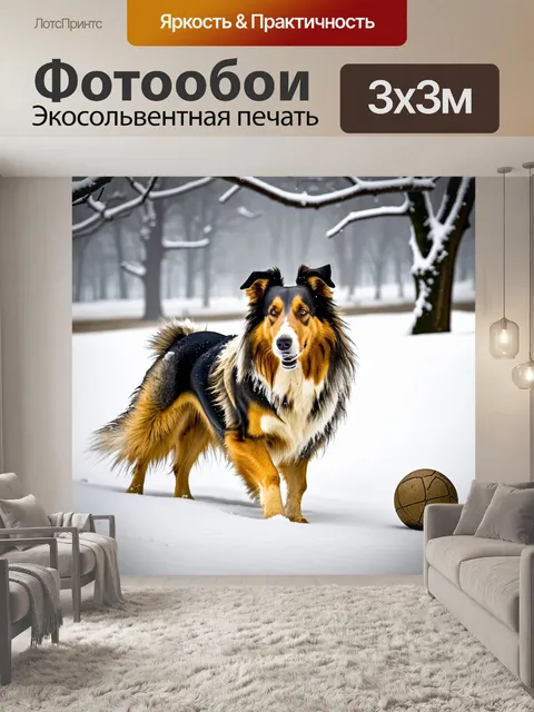 Фотообои колли играет с мячом в снежном парке, в окружении снежных сугробов и ветвистых деревьев