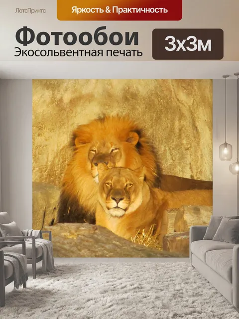 Фотообои Король джунглей и Королева