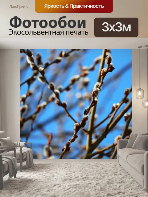 Фотообои Пальмовая ветвь