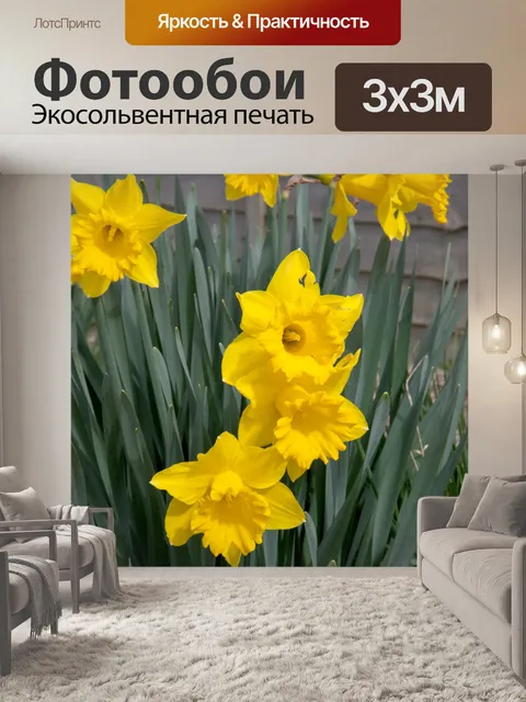 Фотообои Весенние цветы желтые нарциссы