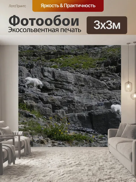 Фотообои Национальный парк ледника
