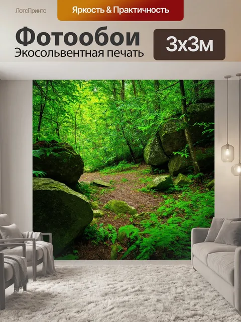 Фотообои лес с живописными камнями и морем зелени