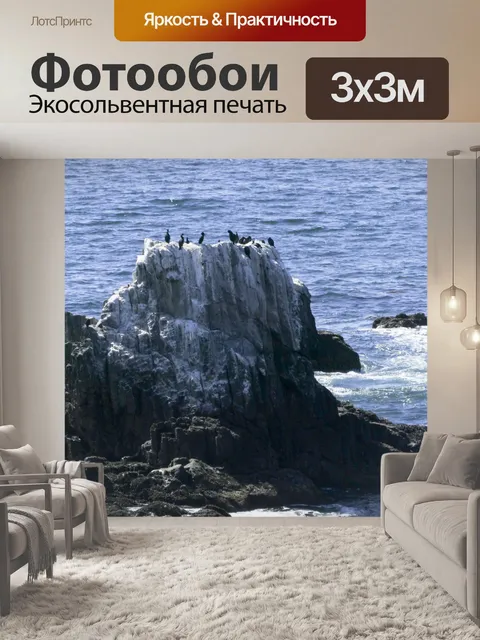 Фотообои Seal Rocks Laguna Beach