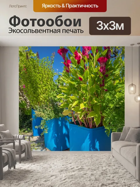 Фотообои Греческие цветы в горшках