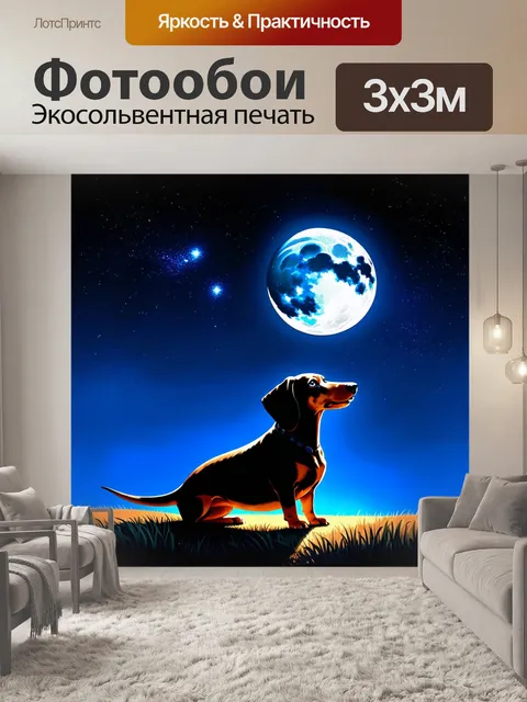 Фотообои такса, смотрящая на луну, освещающую ночное небо, её силуэт отчетливо виден на фоне звёзд