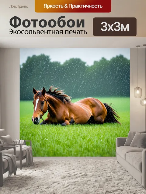 Фотообои лошадь, катящаяся по траве под дождем