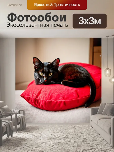 Фотообои черный кот, свернувшийся в клубок на красной подушке, сфотографированный в мягком свете, где текстуры и…