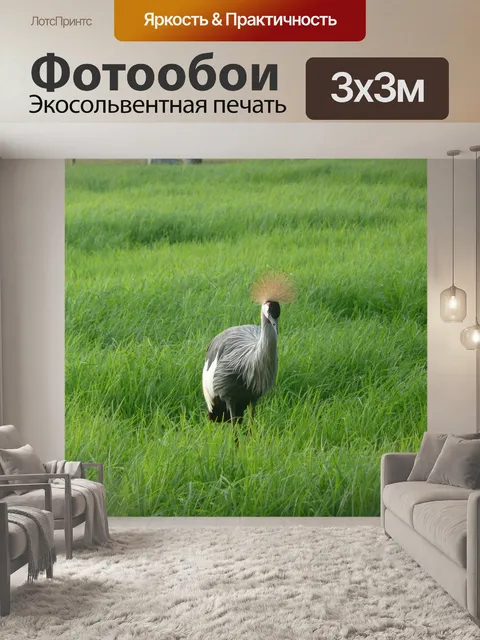 Фотообои Лужайка