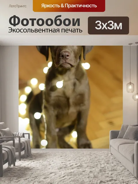 Фотообои Собака