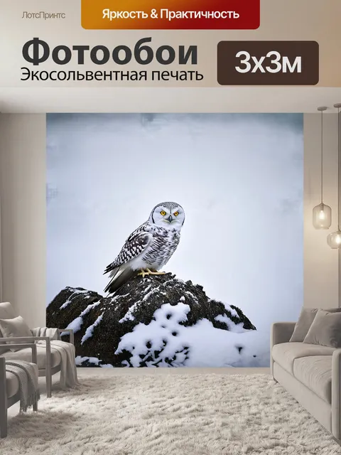 Фотообои снежная сова, величественно сидящая на фоне заснеженной тундры, покоится на большом камне, медленно…
