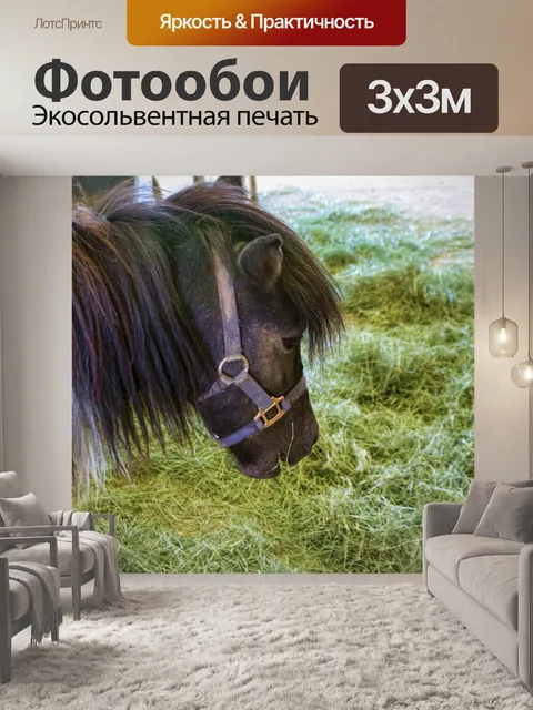 Фотообои Пони