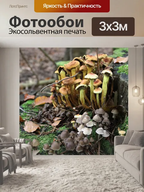 Фотообои Грибы