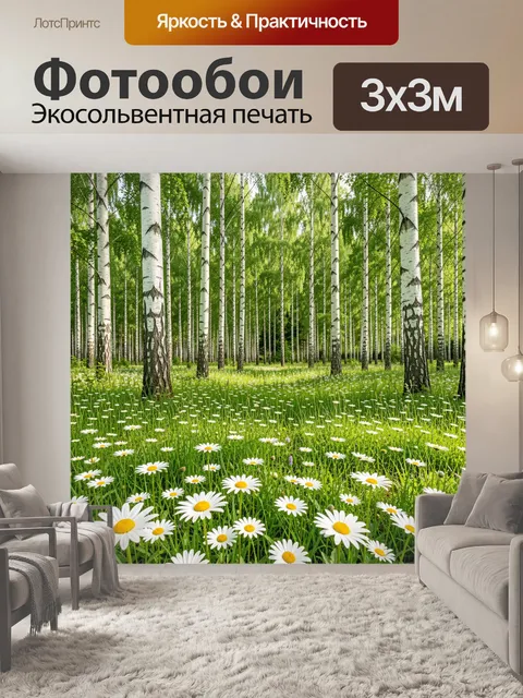 Фотообои Березовая роща с ромашками