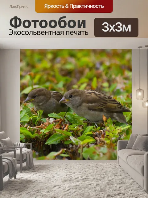 Фотообои Птицы