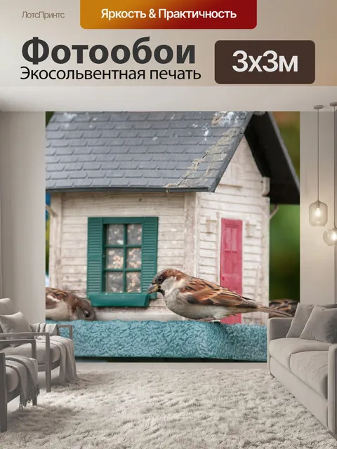Фотообои птиц на Birdfeeder