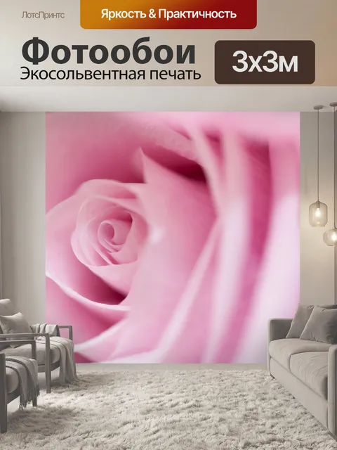 Фотообои Розовая роза