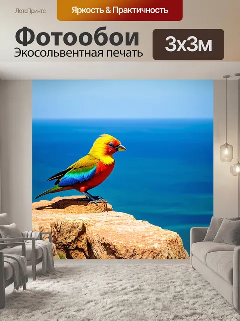Фотообои райская птица, сидящая на краю утеса с видом на океан