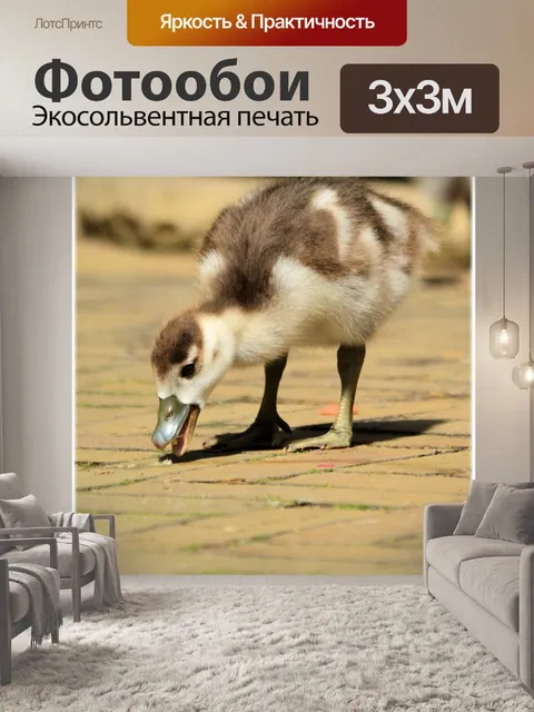 Фотообои Нил Гусь и 02 детенышей
