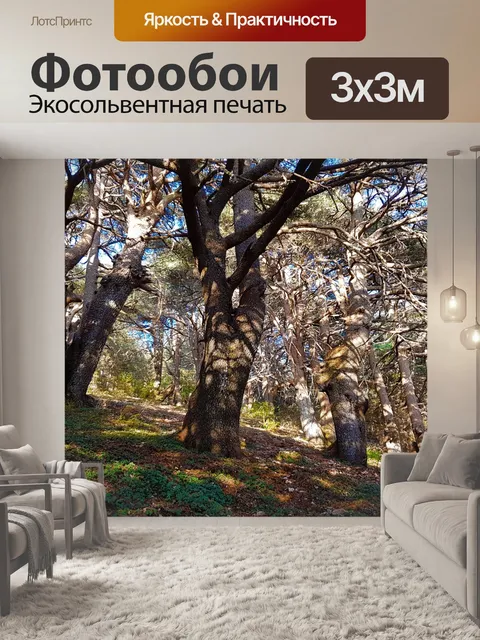 Фотообои Кедры господина
