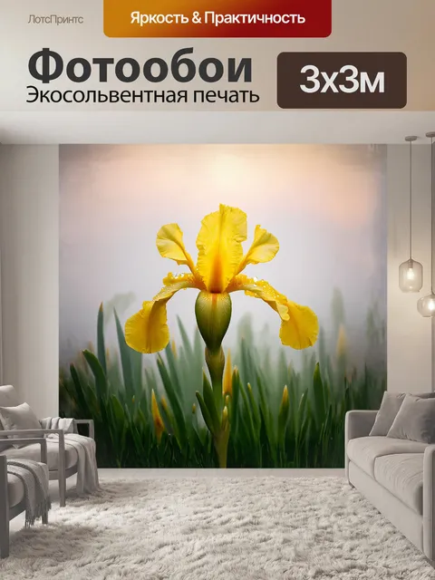 Фотообои величественный желтый ирис, словно королева весеннего цветения, стоит на фоне утреннего тумана