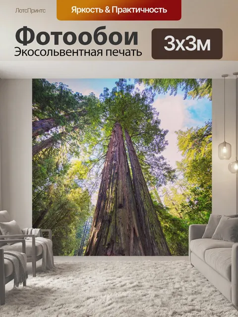 Фотообои Деревья