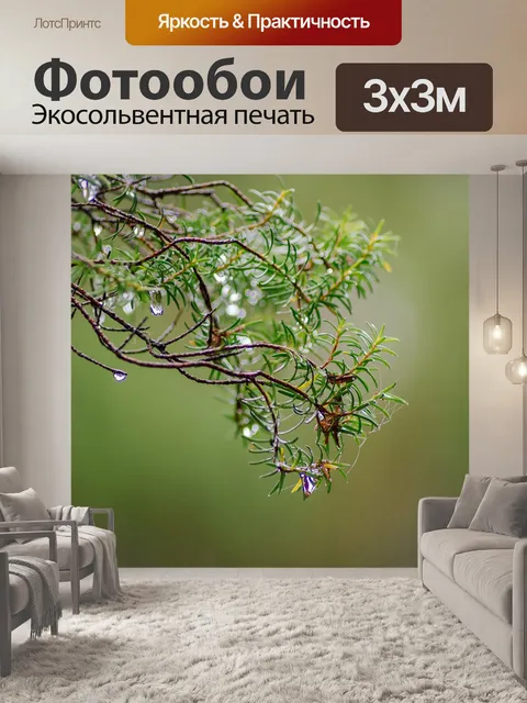 Фотообои Lewady