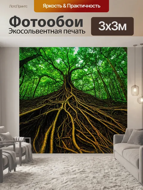 Фотообои лес с дремучими корнями, выходящими на поверхность