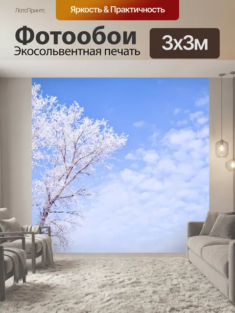 Фотообои Зимний лес и