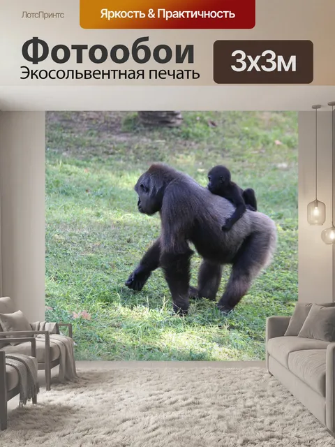 Фотообои Обезьяны