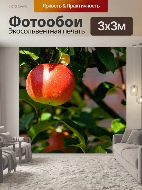 Фотообои Яблоко