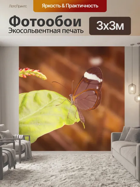 Фотообои бабочка