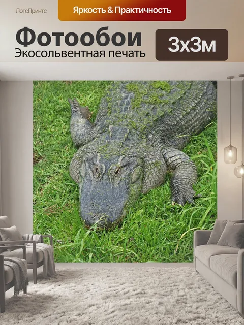 Фотообои крокодил с зелеными водорослями на спине