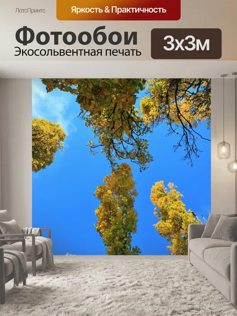 Фотообои тополя высоко