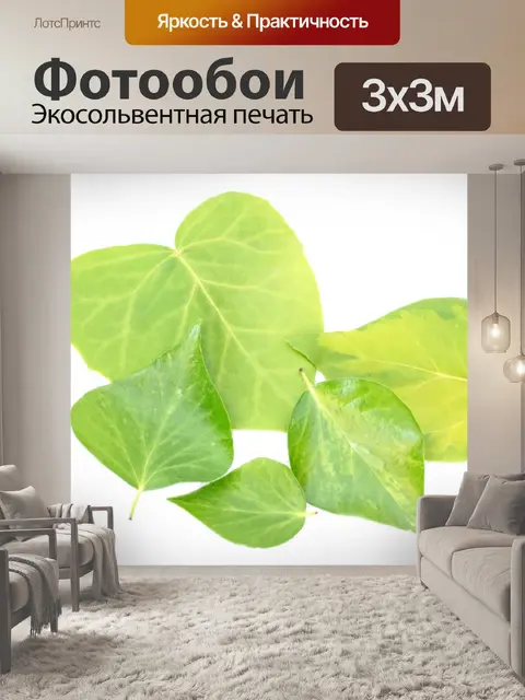 Фотообои Зеленые листья